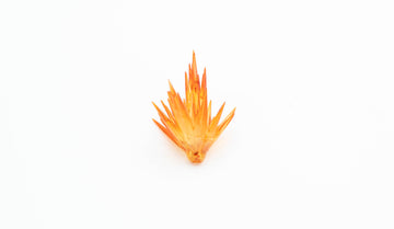 One-Hand Explosion Effect