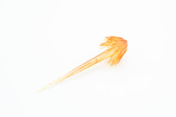 AP Shot Explosion Effect