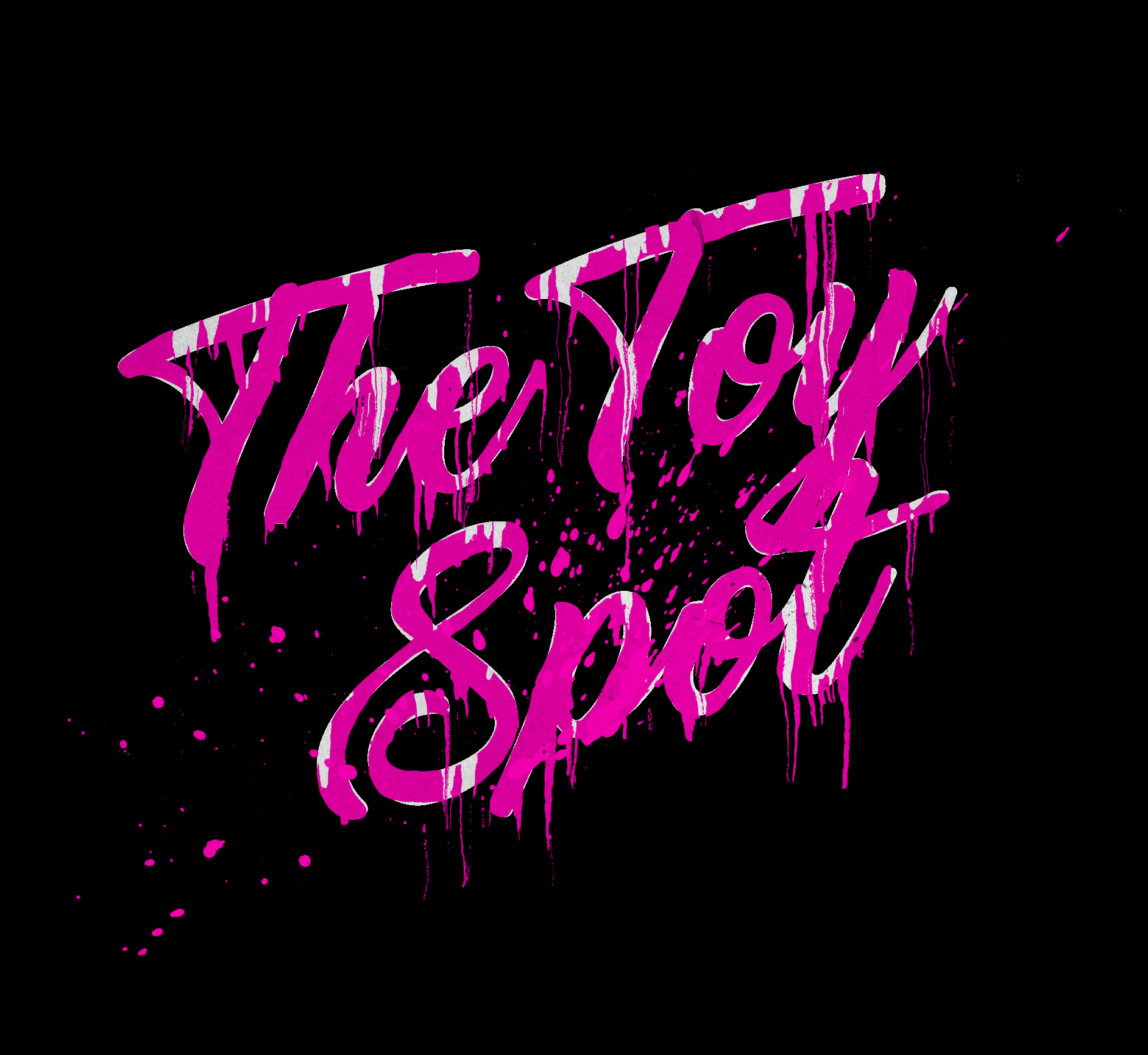 The Toy Spot